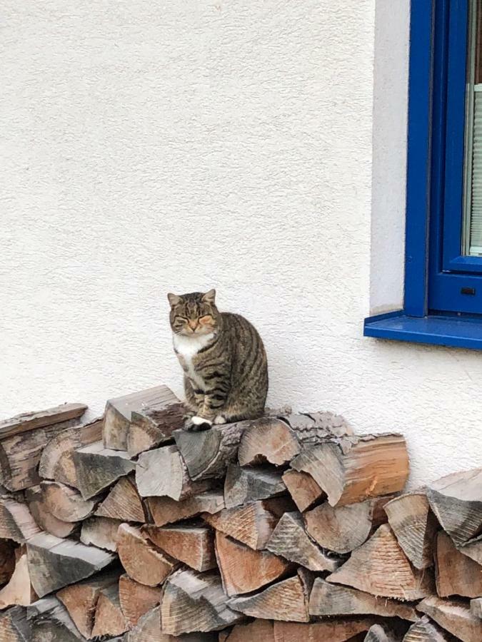 Haus Sonnenweg Villa Мариапфар Екстериор снимка